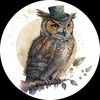 the_wise_owl